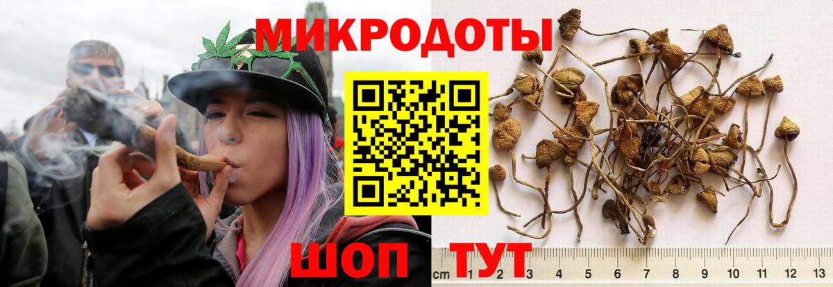 Псилоцибиновые грибы Psilocybine cubensis  Вход с VPN  Кудрово 